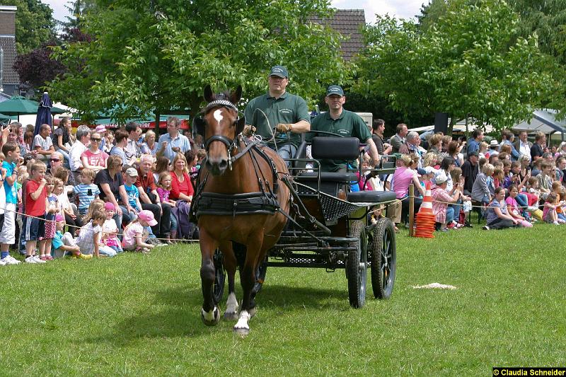 Ponytag Bosbach 2012-003.jpg